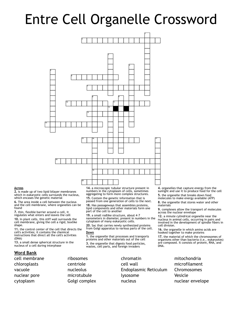 Entre Cell Organelle Crossword
