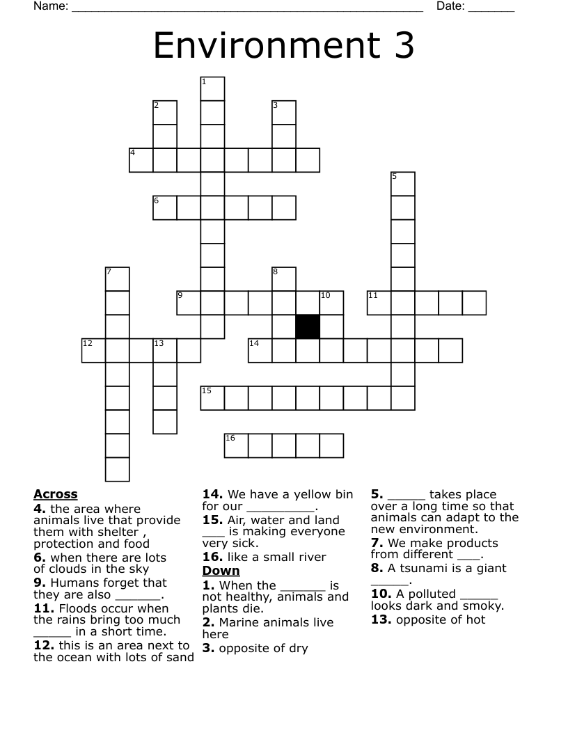 Environment 3 Crossword