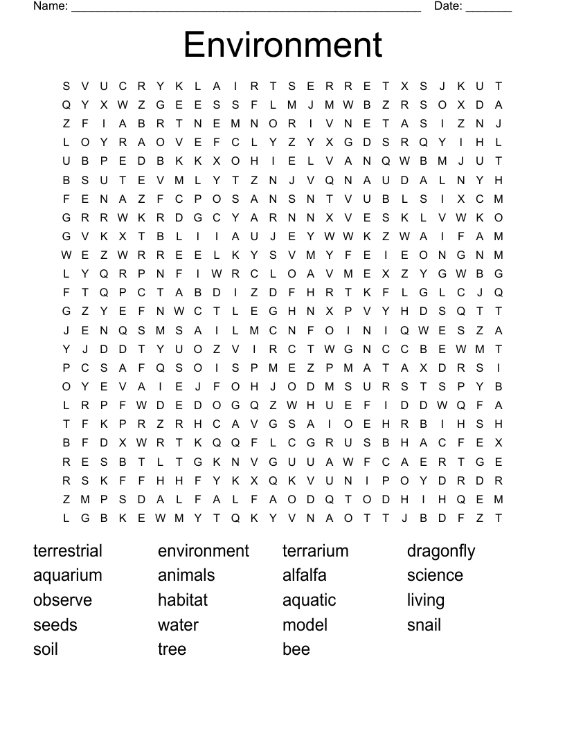 Environment Word Search