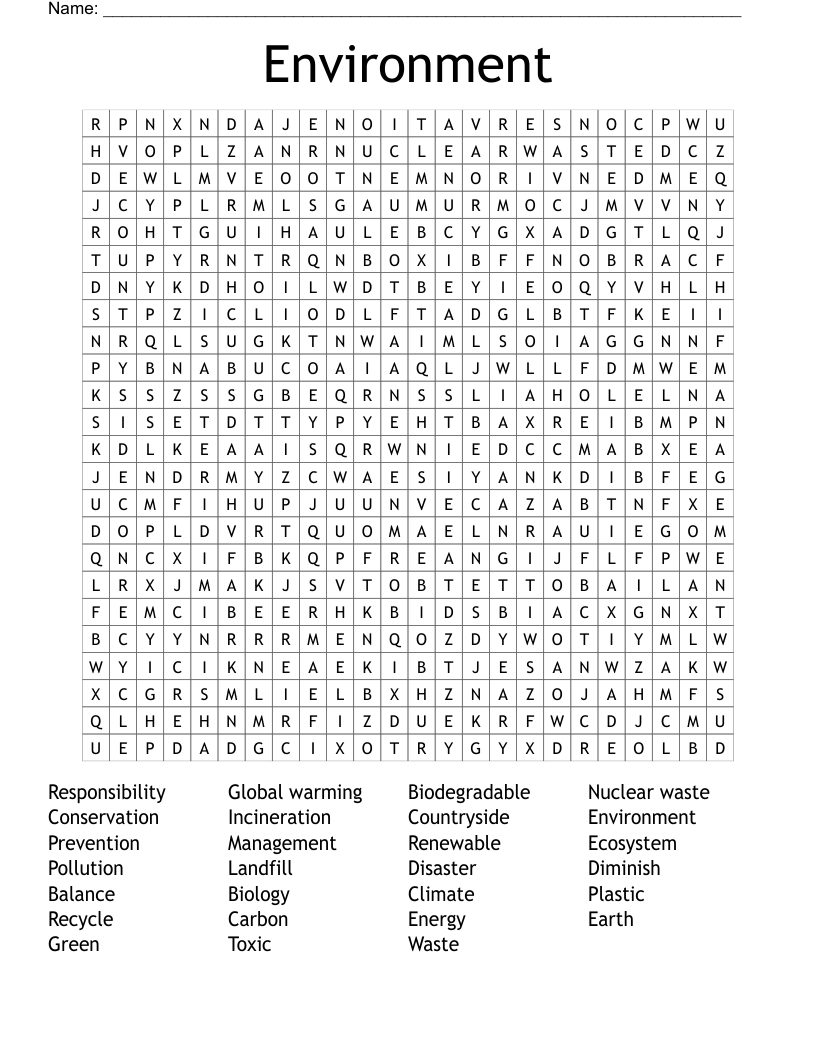 Environment  Word Search
