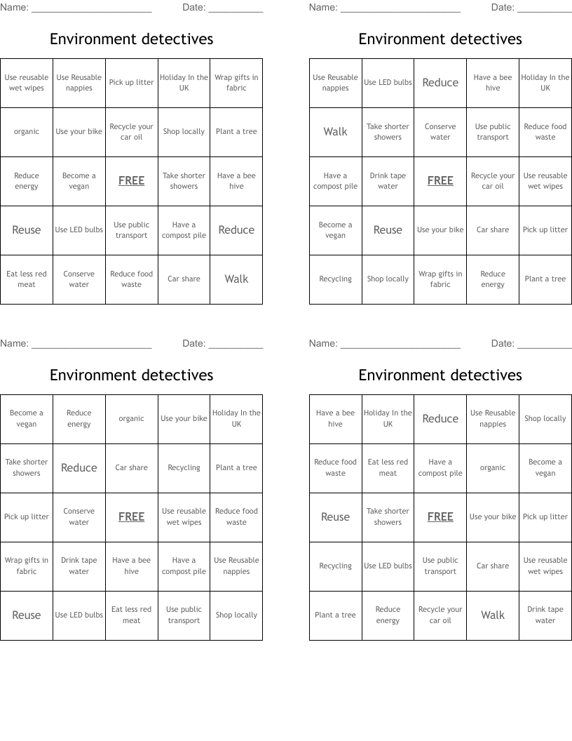 Environment detectives Bingo Cards
