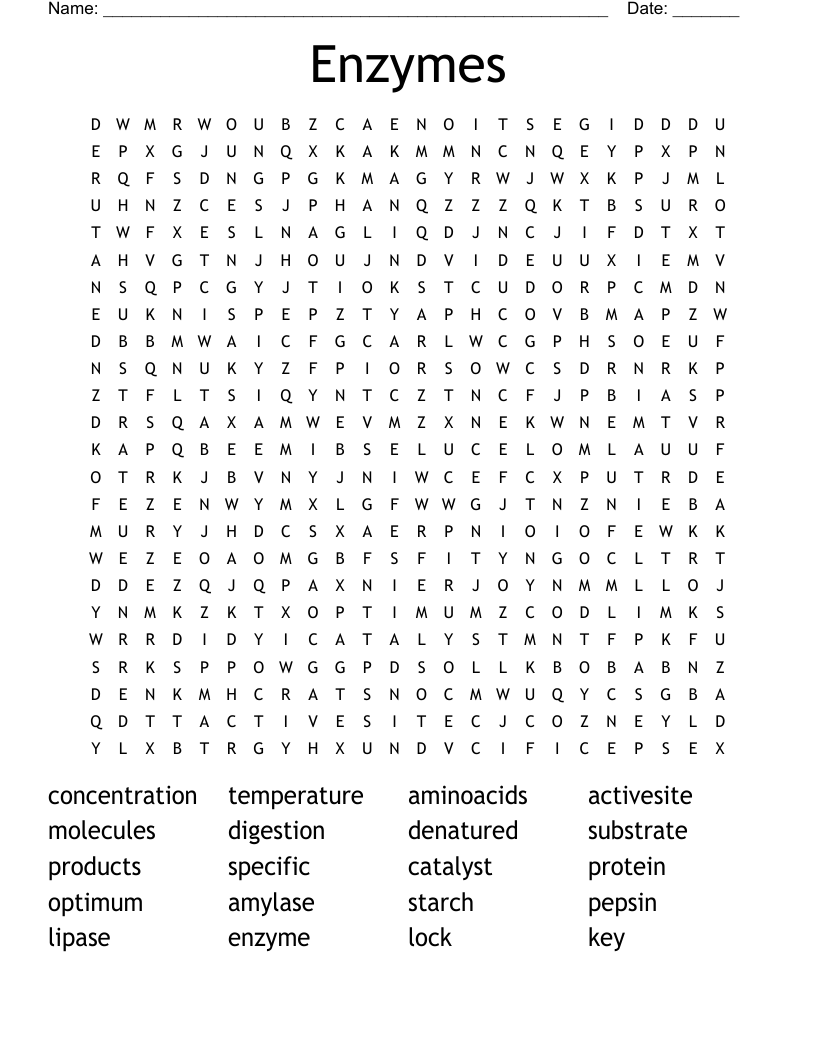 Enzymes Word Search