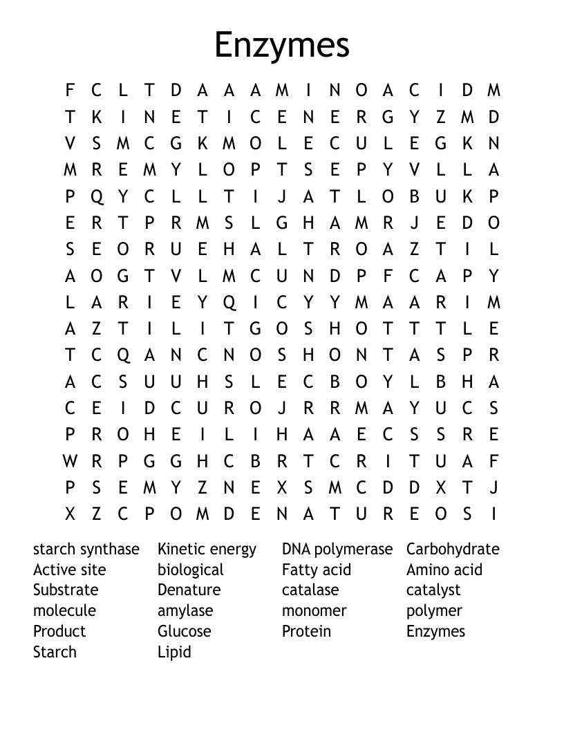 Enzymes Word Search