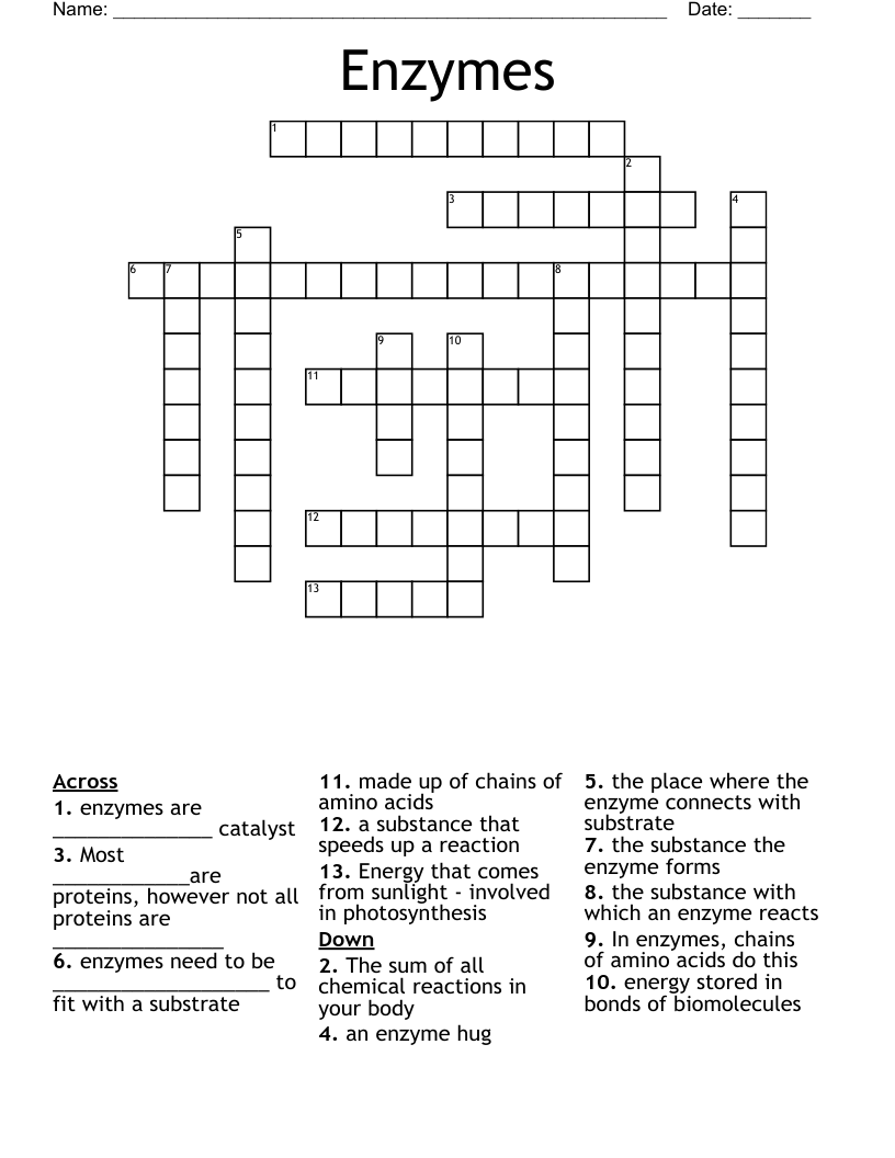 Enzymes Crossword