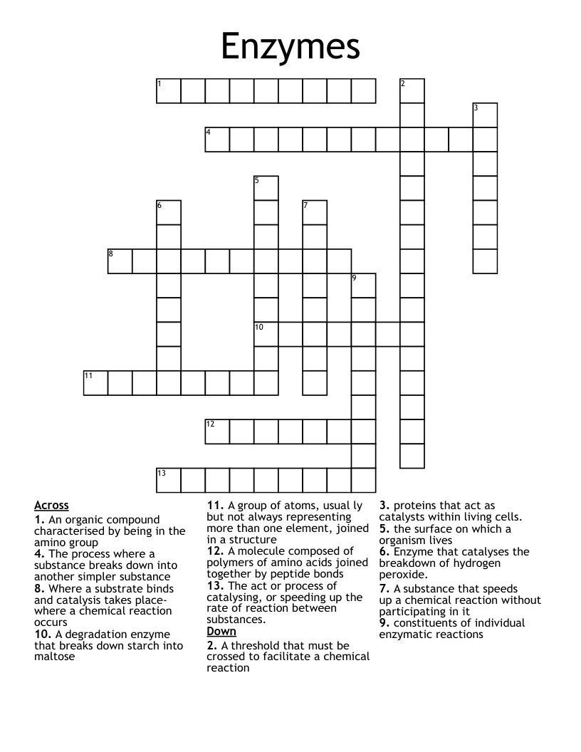 Enzymes Crossword