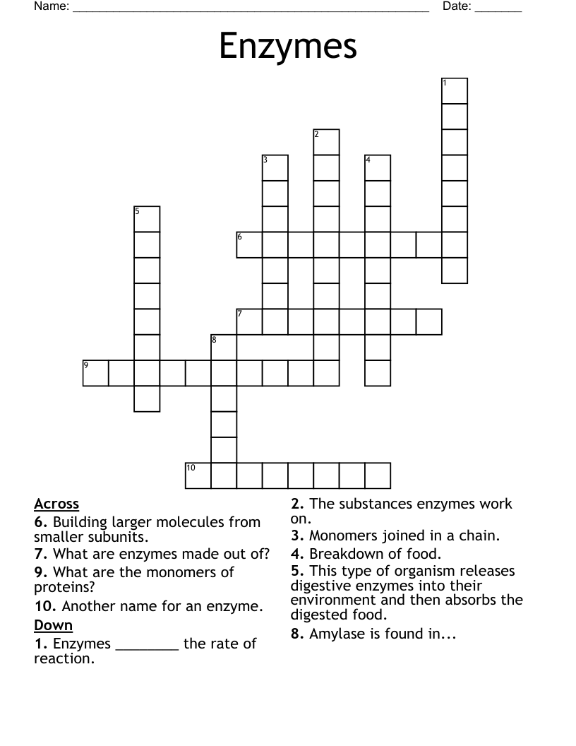Enzymes Crossword