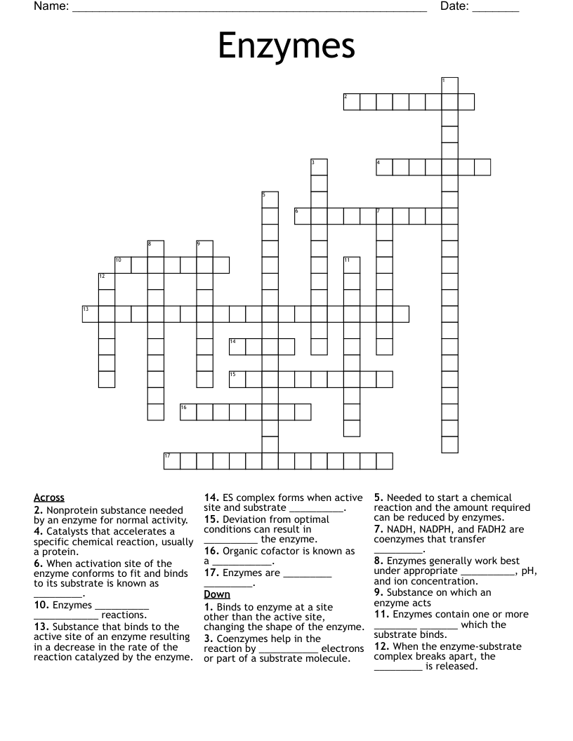 Enzymes Crossword