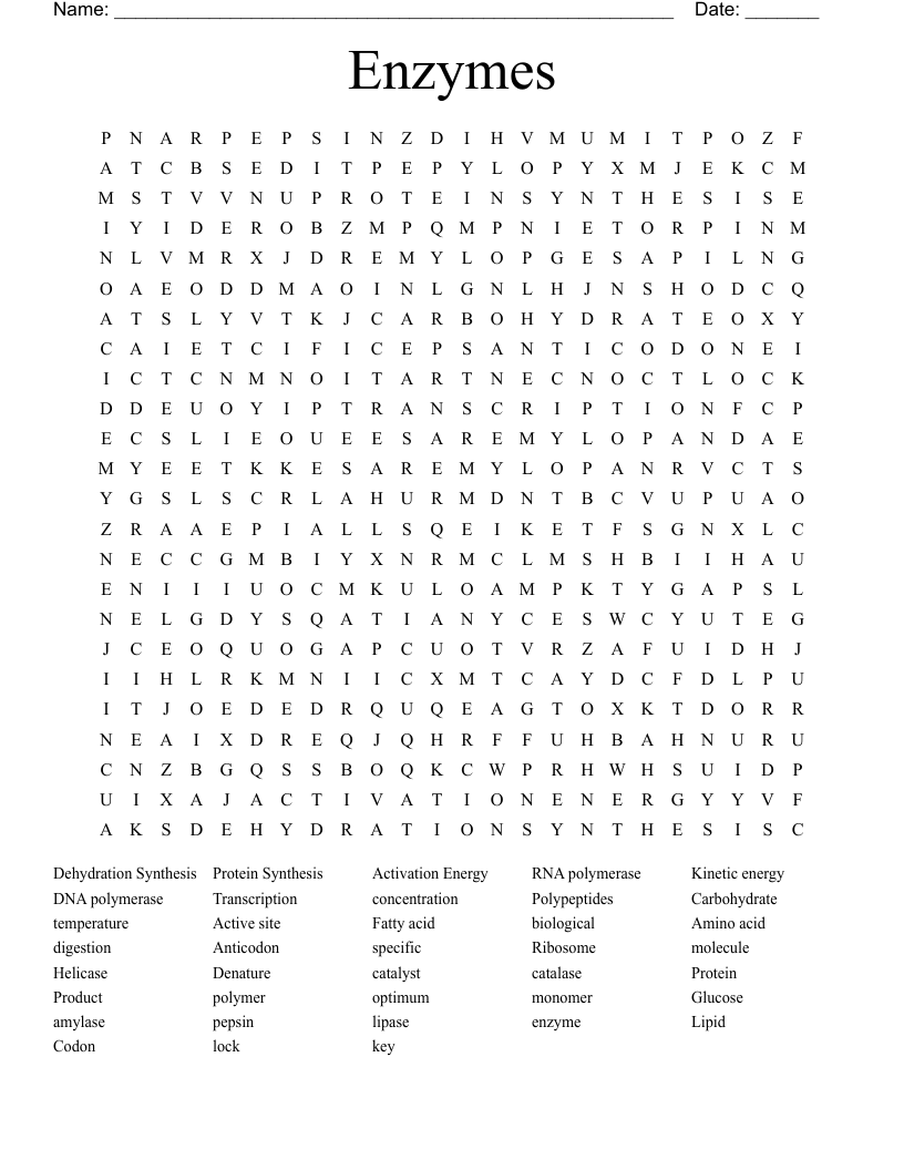 Enzymes Word Search