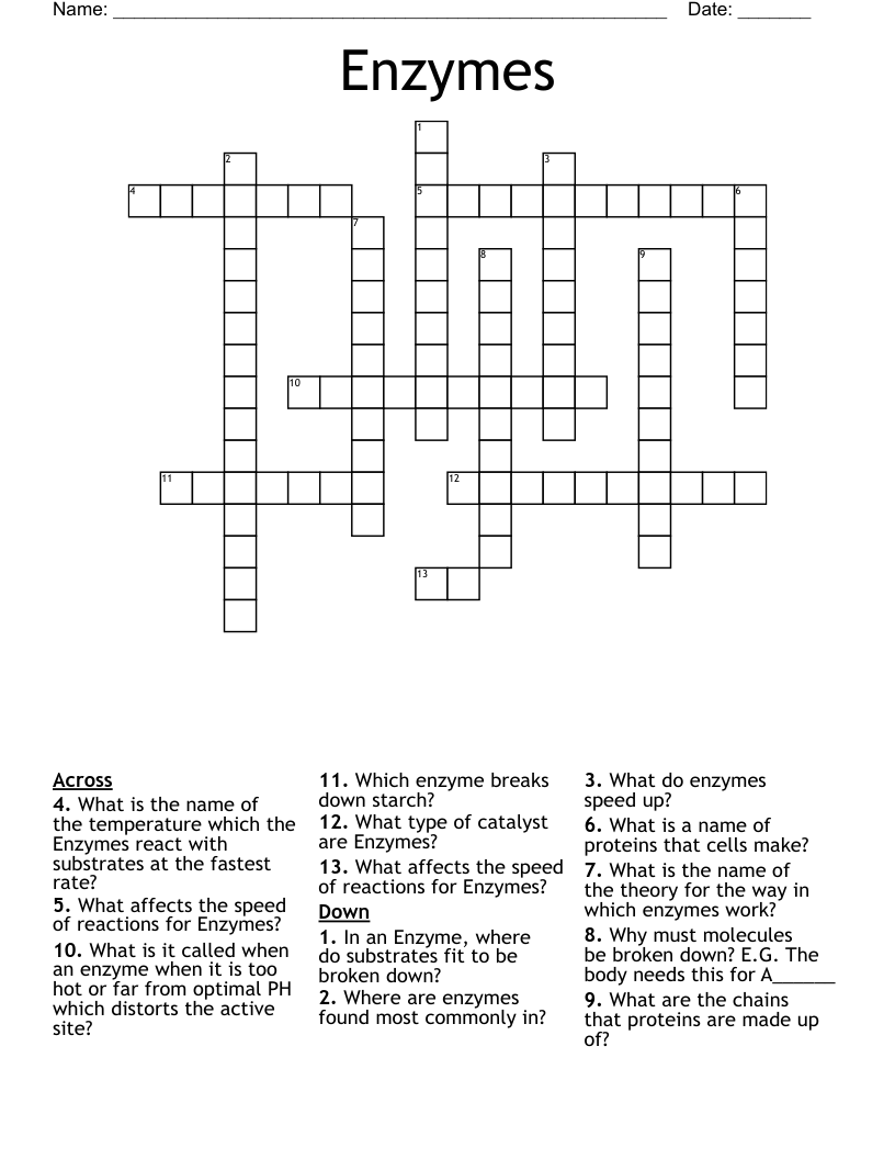 Enzymes Crossword