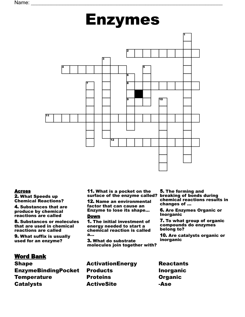 Enzymes Crossword