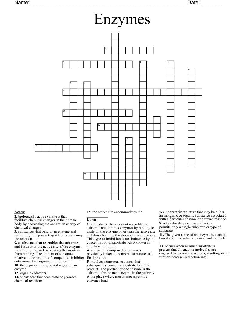 Enzymes Crossword
