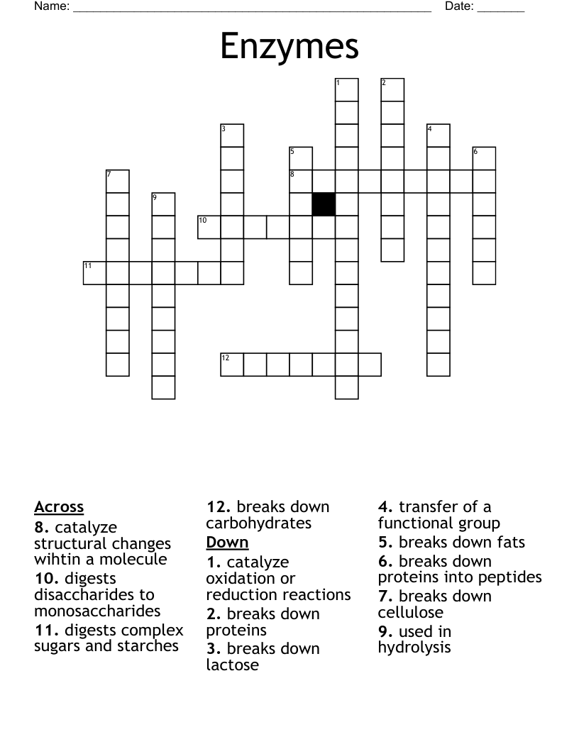 Enzymes Crossword