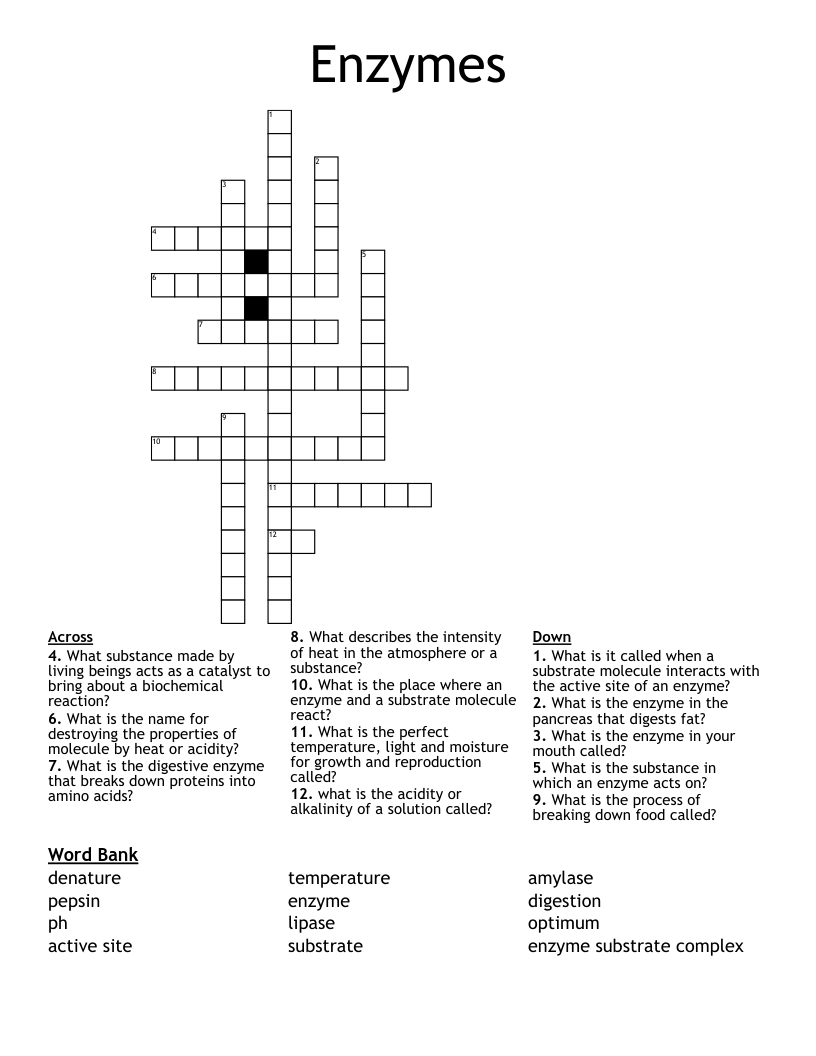 Enzymes Crossword