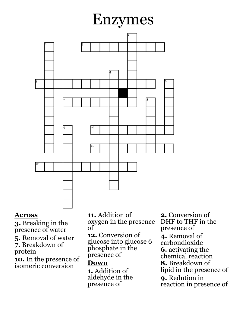 Enzymes Crossword