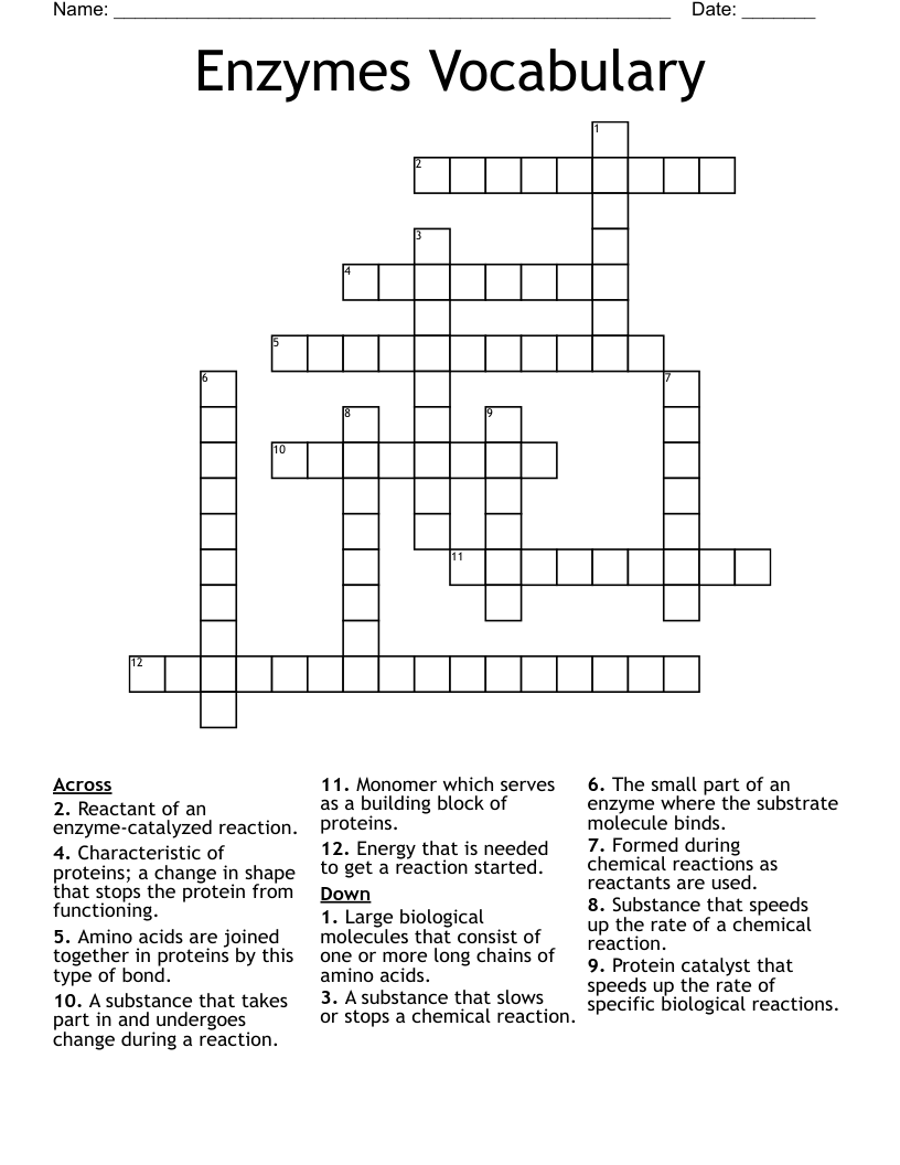 Enzymes Vocabulary Crossword