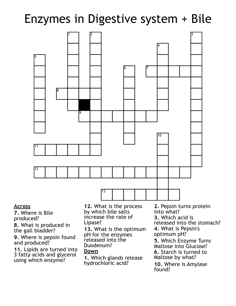 Enzymes in Digestive system + Bile Crossword