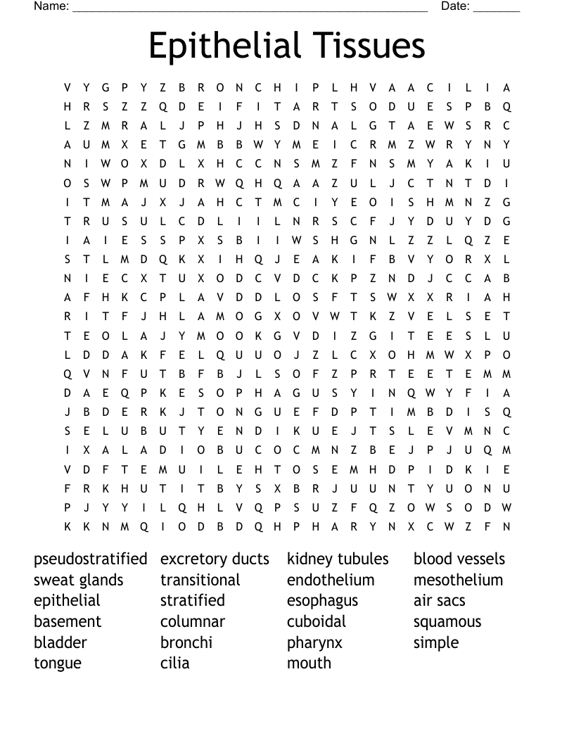 Epithelial Tissues Word Search