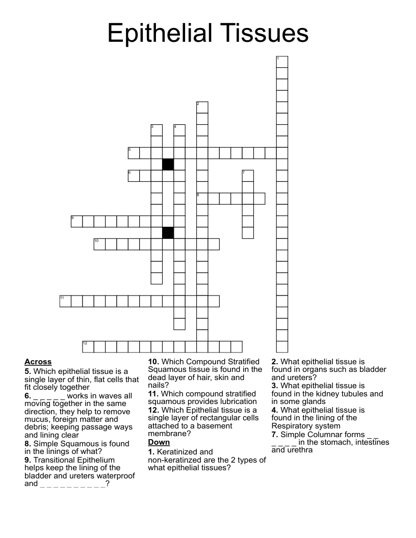 Epithelial Tissues Crossword