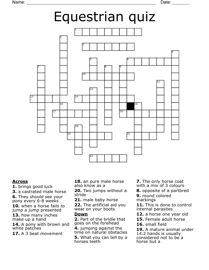 Equestrian quiz Crossword