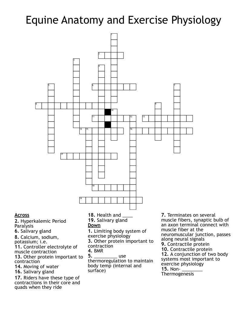 Equine Anatomy and Exercise Physiology Crossword