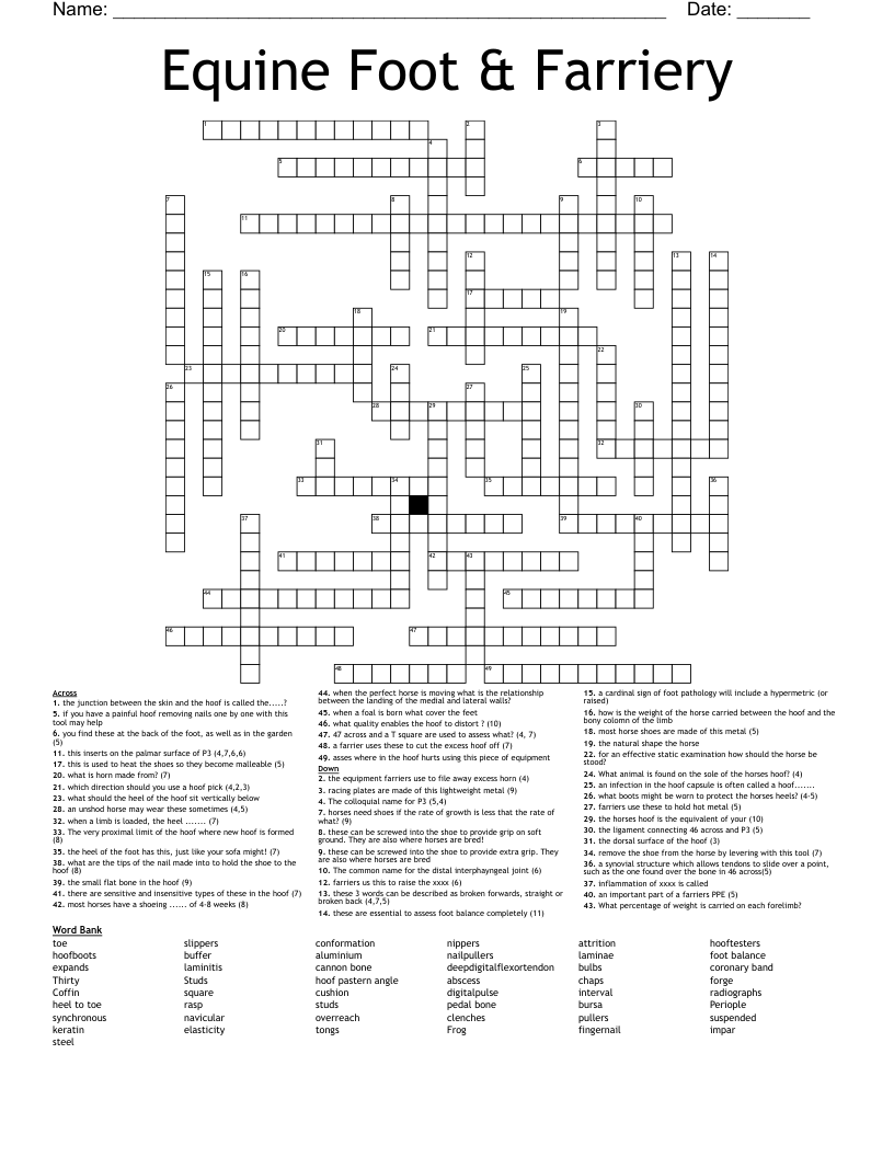 Equine Foot & Farriery Crossword