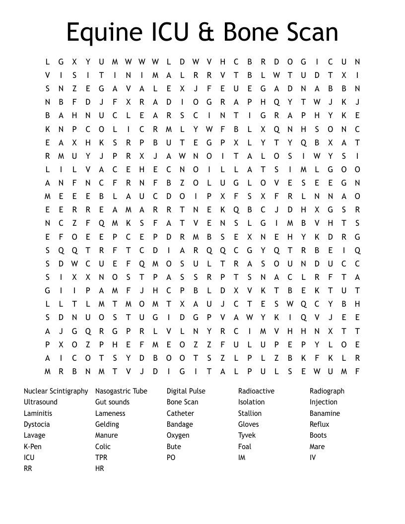 Equine ICU & Bone Scan Word Search