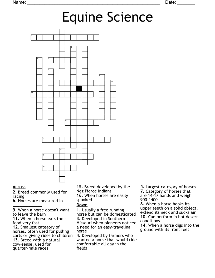 Equine Science Crossword
