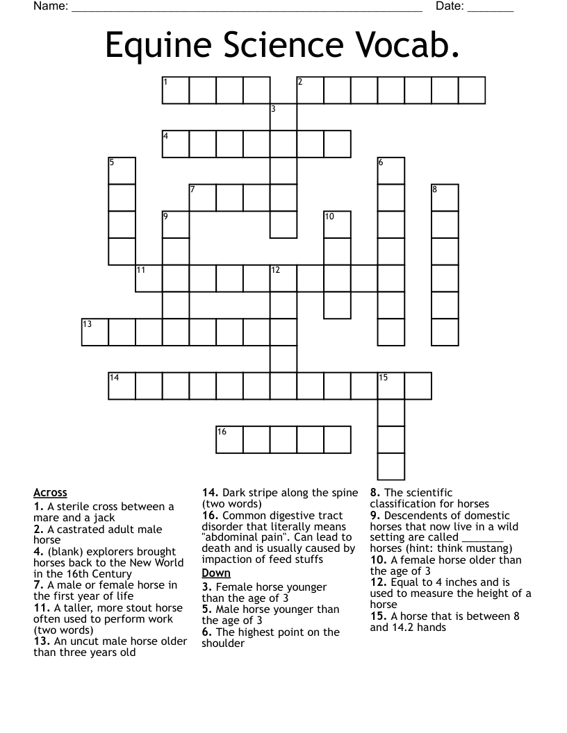 Equine Science Vocab. Crossword