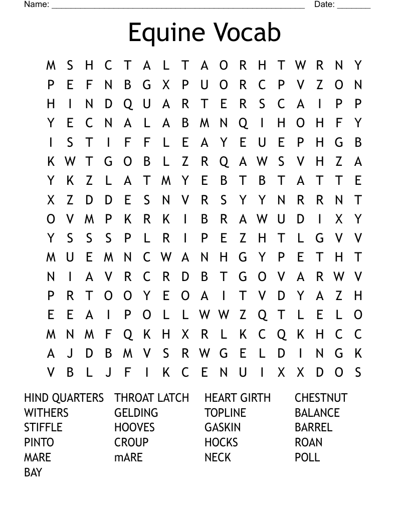 Equine Vocab Word Search