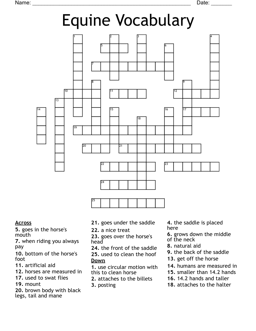 Equine Vocabulary Crossword