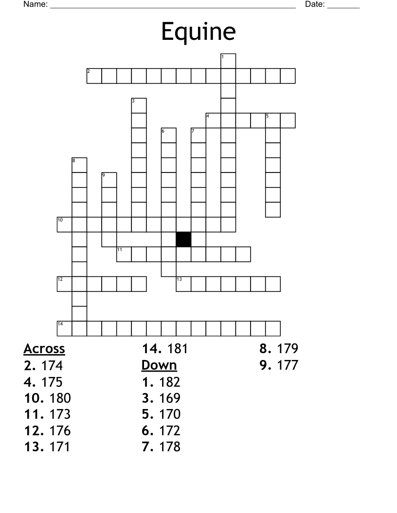 Equine  Crossword