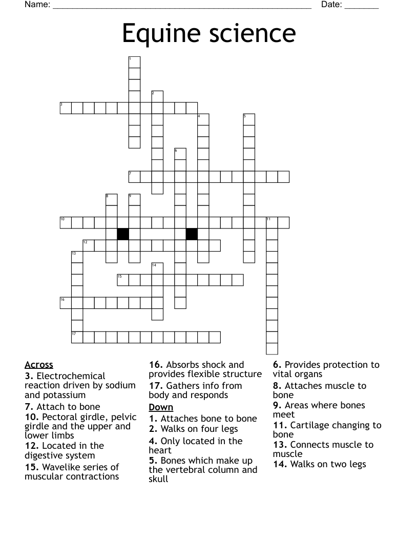 Equine science Crossword