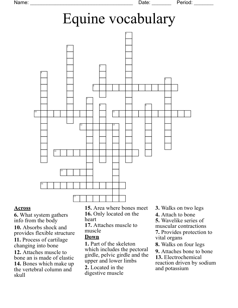 Equine vocabulary Crossword