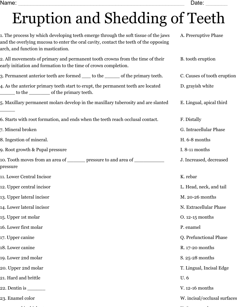 Eruption and Shedding of Teeth Worksheet