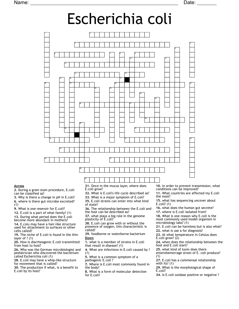 Escherichia coli Crossword