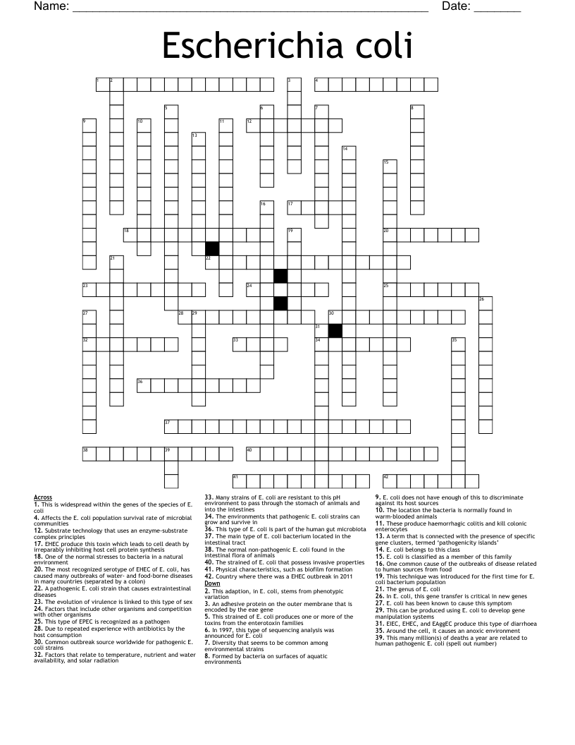 Escherichia coli Crossword