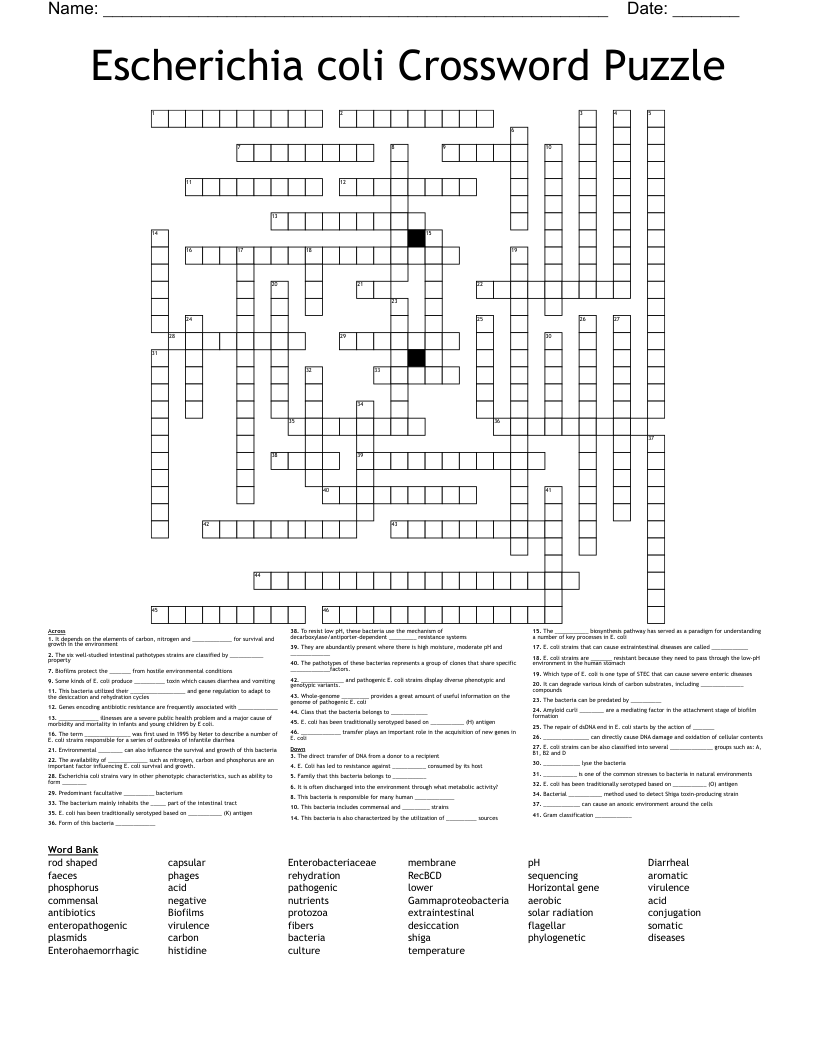 Escherichia coli Crossword Puzzle 