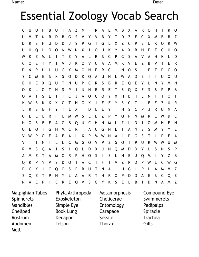 Essential Zoology Vocab Search Word Search