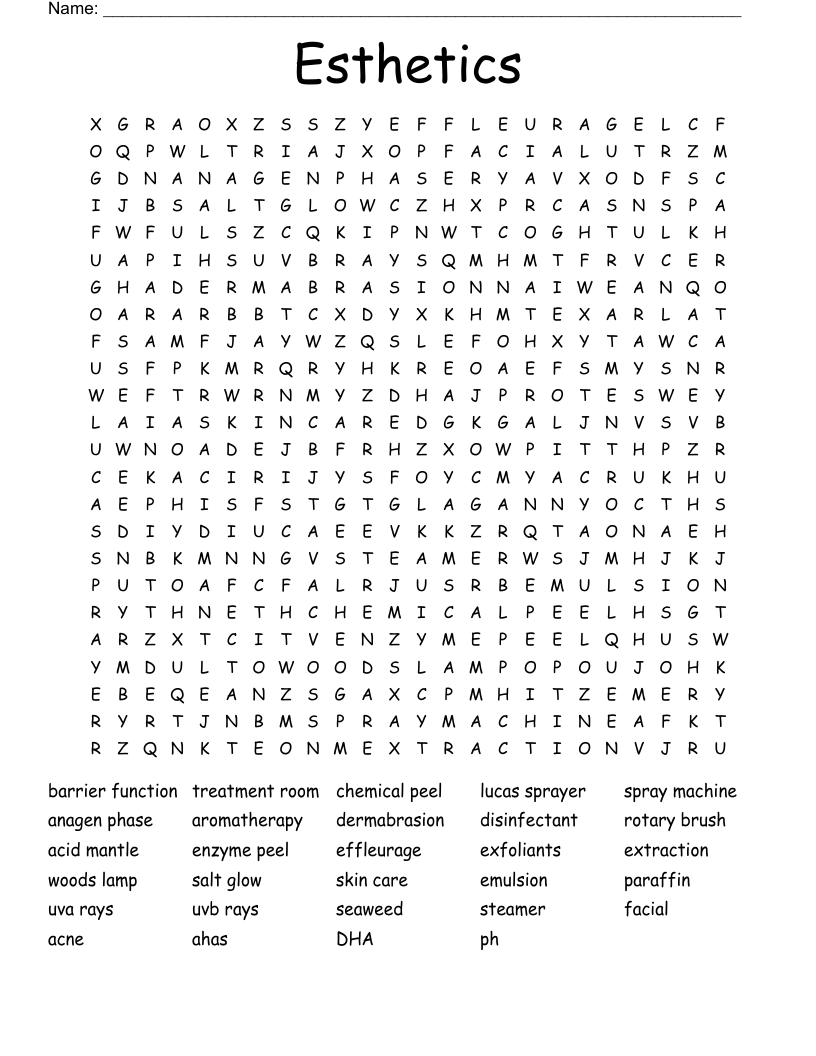 Esthetics  Word Search