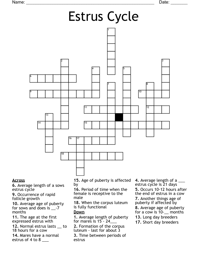 Estrus Cycle Crossword