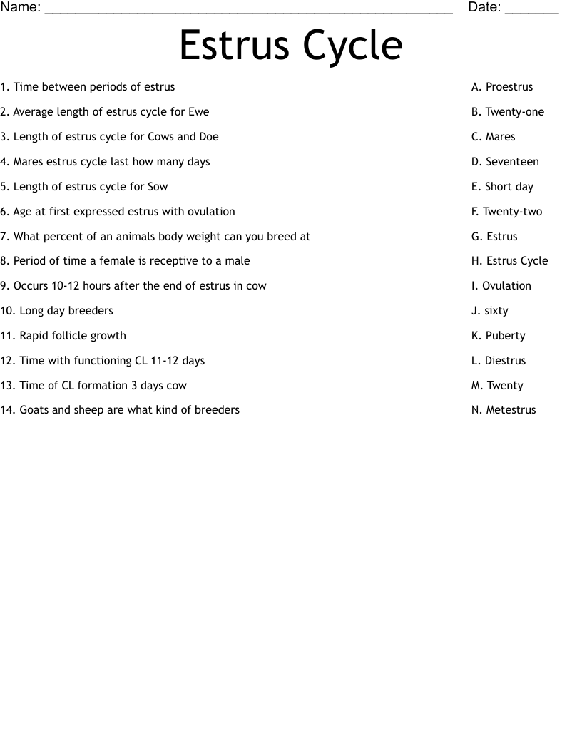 Estrus Cycle Worksheet