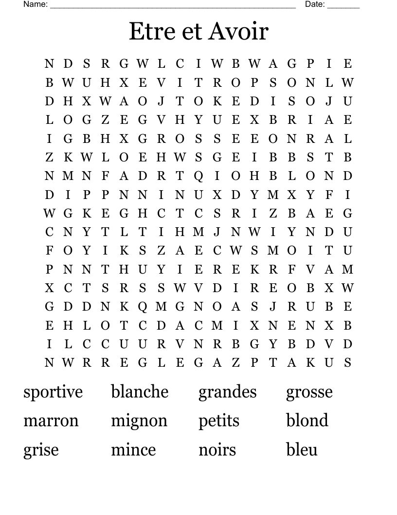 Etre et Avoir Word Search