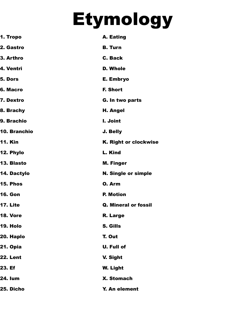 Etymology Worksheet