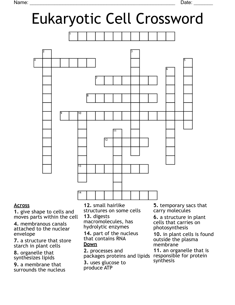 Eukaryotic Cell Crossword