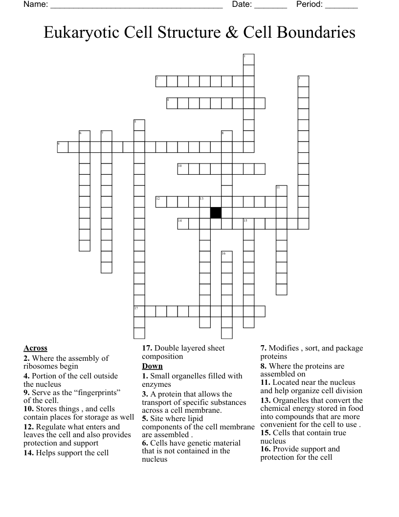 Eukaryotic Cell Structure & Cell Boundaries  Crossword