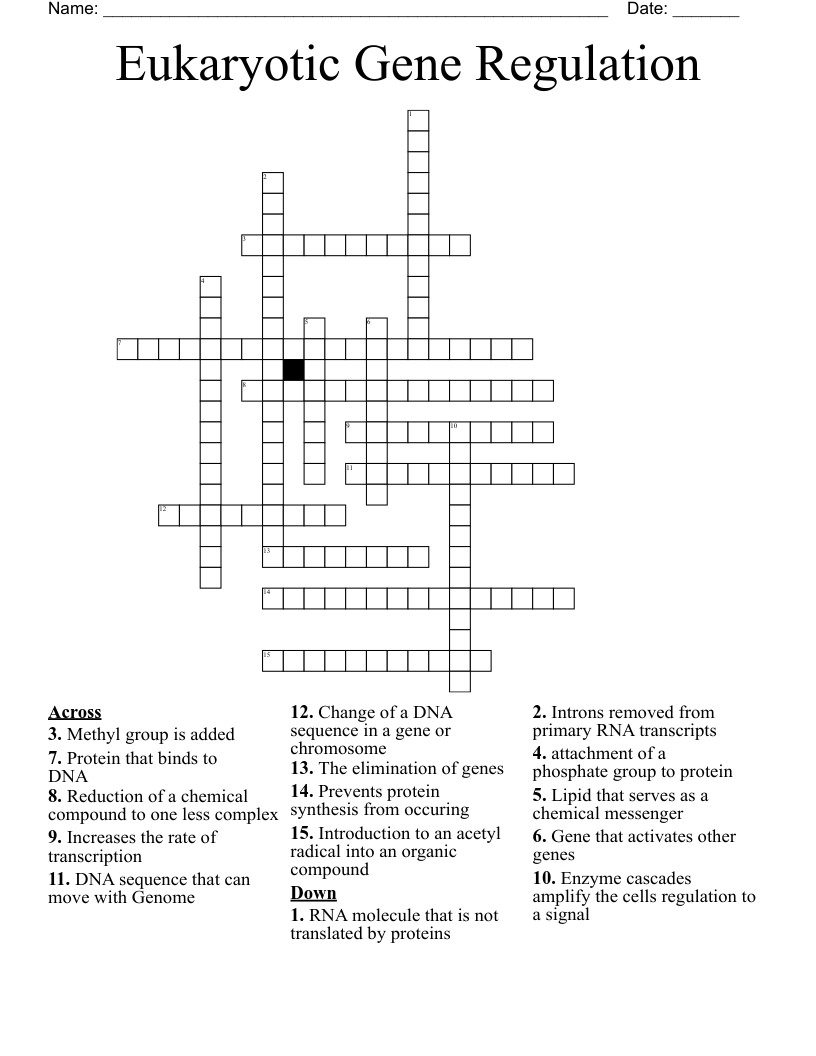 Eukaryotic Gene Regulation Crossword