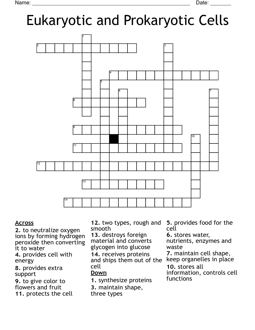 Eukaryotic and Prokaryotic Cells Crossword