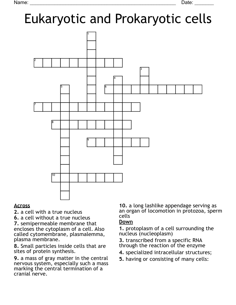 Eukaryotic and Prokaryotic cells Crossword