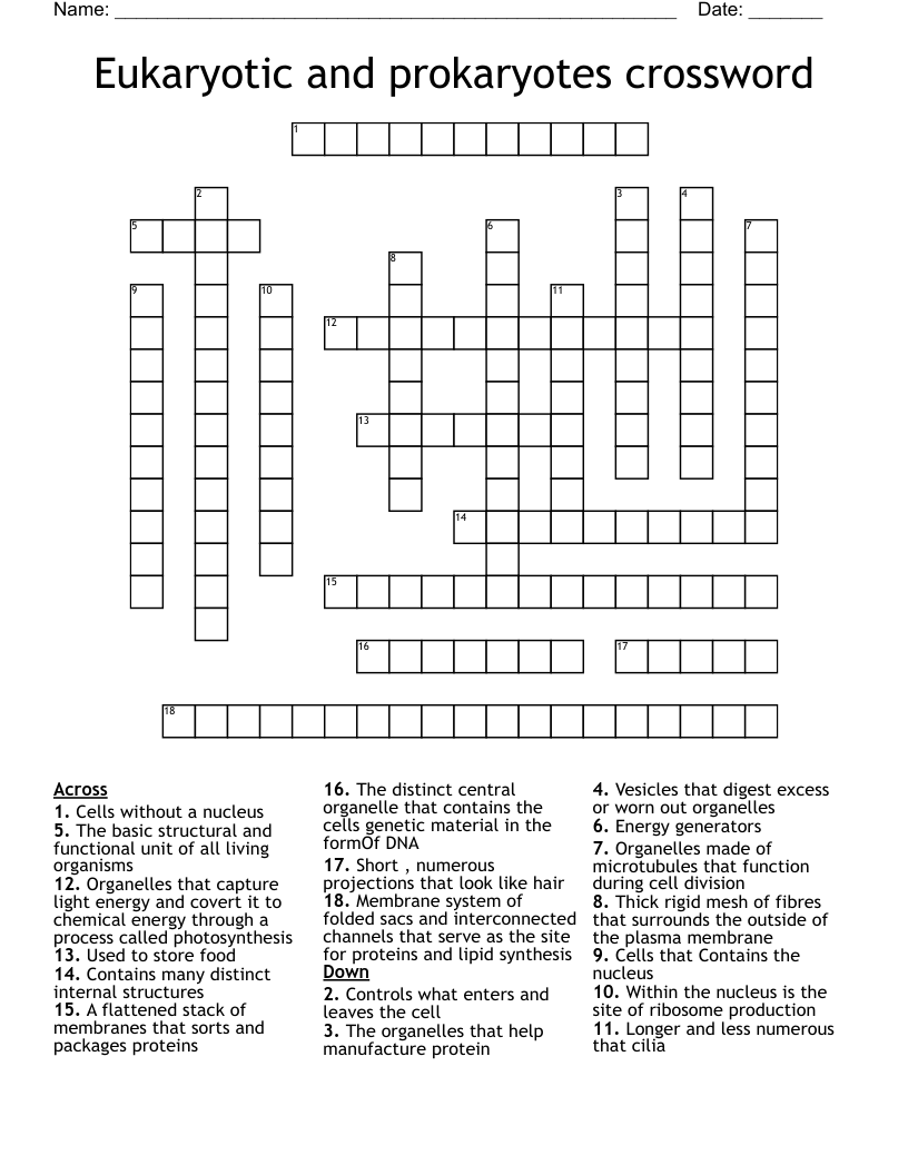 Eukaryotic and prokaryotes crossword
