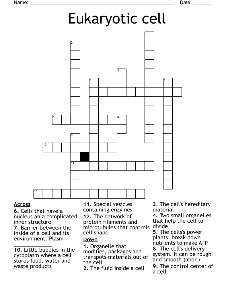 Eukaryotic cell Crossword